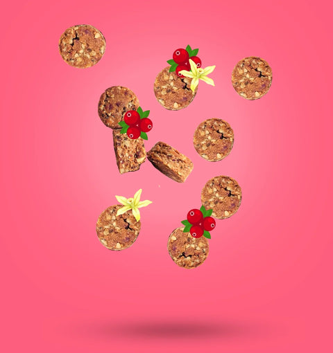 Seed Nibbles | Cranberry Vanilla