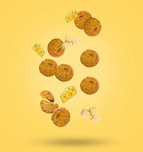 Seed Nibbles | Cheesy Cheese