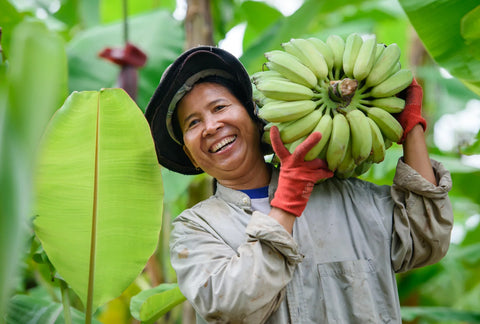 Banana Chips | Bacon