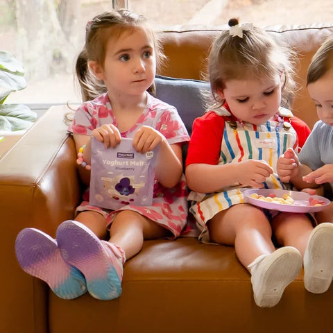 Yoghurt Meltz | Blueberry