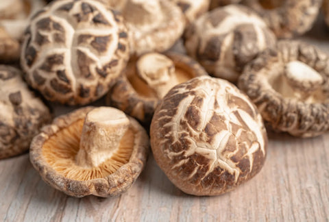 Shiitake Mushroom Chips | Sea Salt