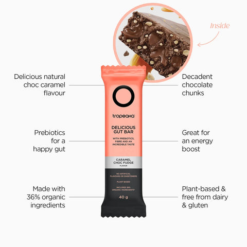 Delicious Gut Bar | Caramel Choc Fudge